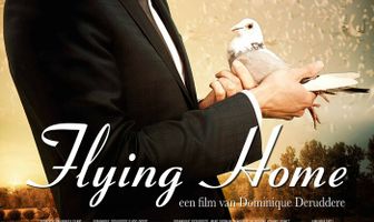 Полёт домой