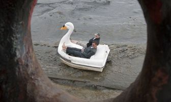 Swandown