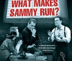 Воскресная витрина