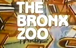 Зоопарк в Бронксе
