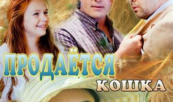 Продается кошка