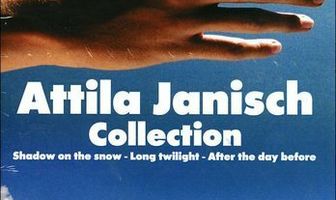 Тень на снегу