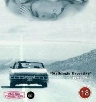 К северу от Вортекса