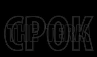 Срок. Начало большой истории