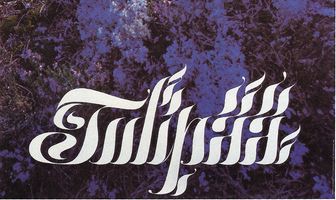 Огненная голова