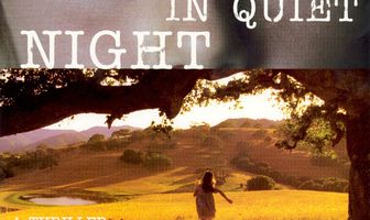 В тихой ночи