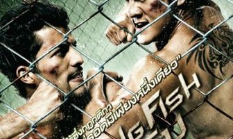 Бойцовая рыбка