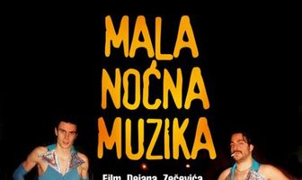 Mala nocna muzika