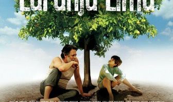 Моё апельсиновое дерево