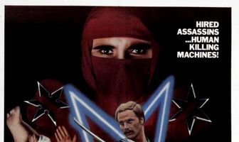 Входит ниндзя