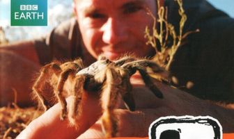 60 самых опасных существ