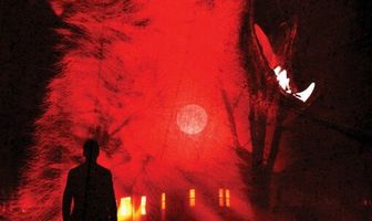 Поздние фазы