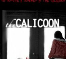 Calicoon
