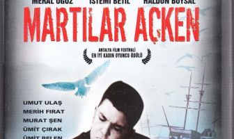 Голодные чайки