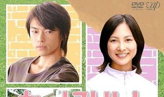 Бродячие коты