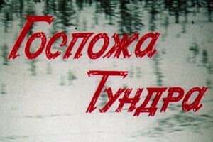 Госпожа Тундра