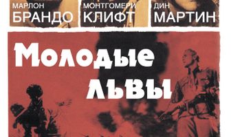 Молодые львы