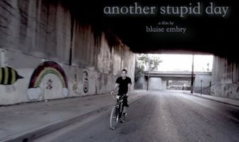 Another Stupid Day