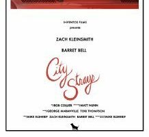 City Strays