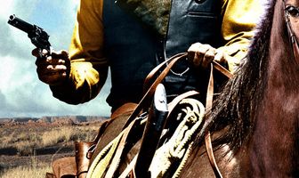 Представитель закона