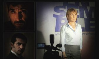 Серые кардиналы