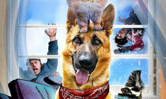Step Dogs