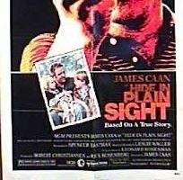 Скрой у всех на виду