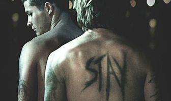 Stay