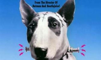 Франкенвини