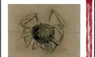 Killing of the Alaskan King Crab