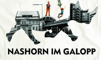 Носорог скачет галопом