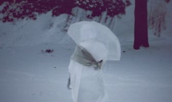 The Cold Winter
