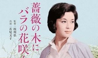 Bara no ki ni bara no hana saku