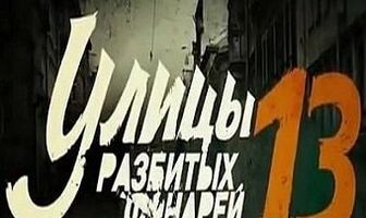 Улицы разбитых фонарей 13