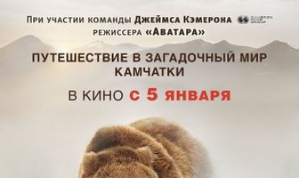 Земля медведей