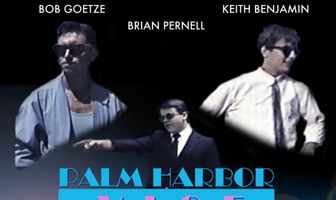 Palm Harbor Vice