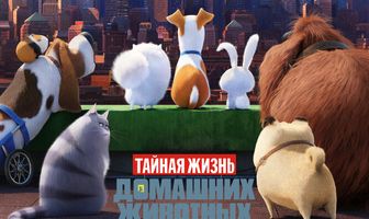 Тайная жизнь домашних животных