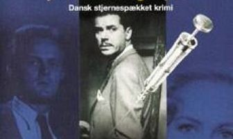 Nålen