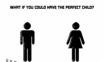 The Perfect 46