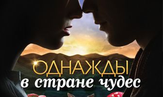 Однажды в стране чудес