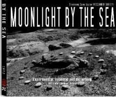 Moonlight by the Sea