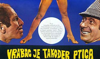 Воробей тоже птица