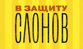 В защиту слонов