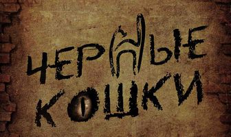 Черные кошки