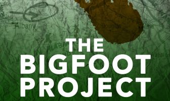 Проект «Снежный человек»