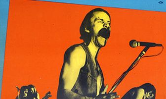 Плешивый пес