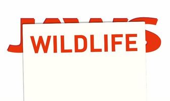 Wildlife: A Storytelling Manifesto