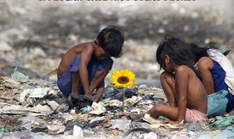 Остров цветов