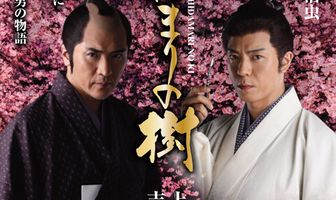 Деревья под солнцем