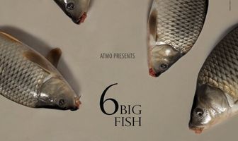 6 stora fiskar